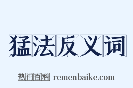 猛法反义词是什么意思的图片